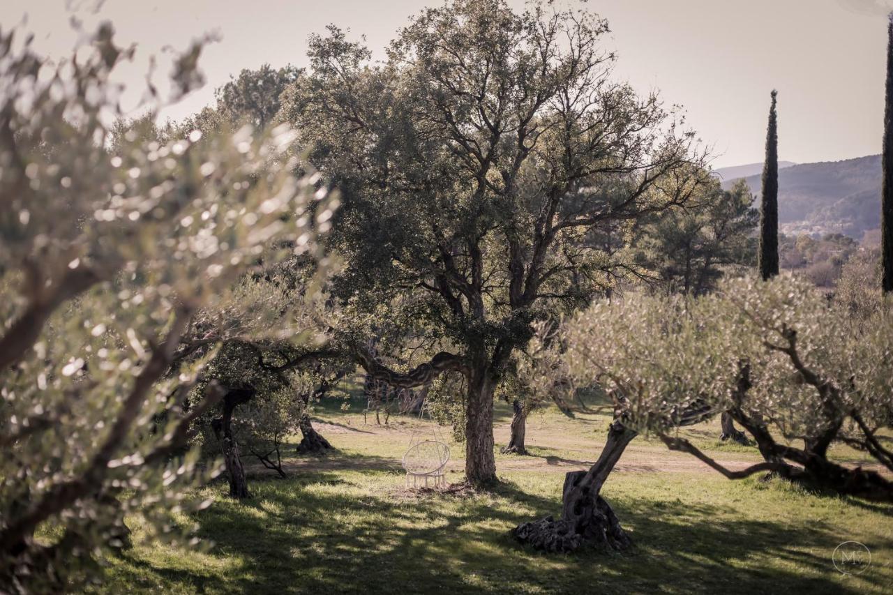 Les Hauts De Diane, Cuers Var Exterior photo