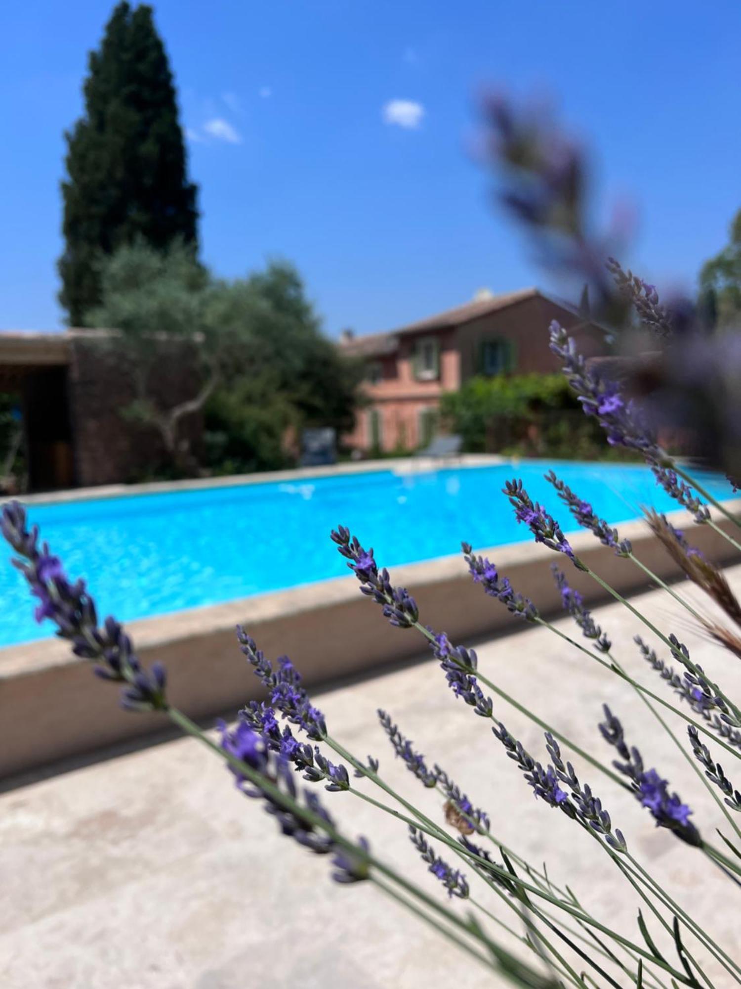 Les Hauts De Diane, Cuers Var Exterior photo